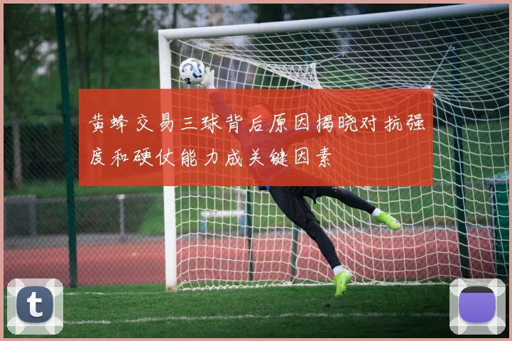 黄蜂交易三球背后原因揭晓对抗强度和硬仗能力成关键因素