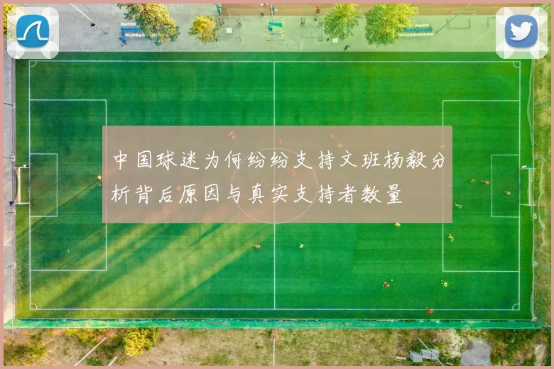 中国球迷为何纷纷支持文班杨毅分析背后原因与真实支持者数量