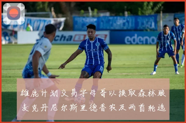 雄鹿计划交易字母哥以换取森林狼麦克丹尼尔斯里德香农及两首轮选秀权